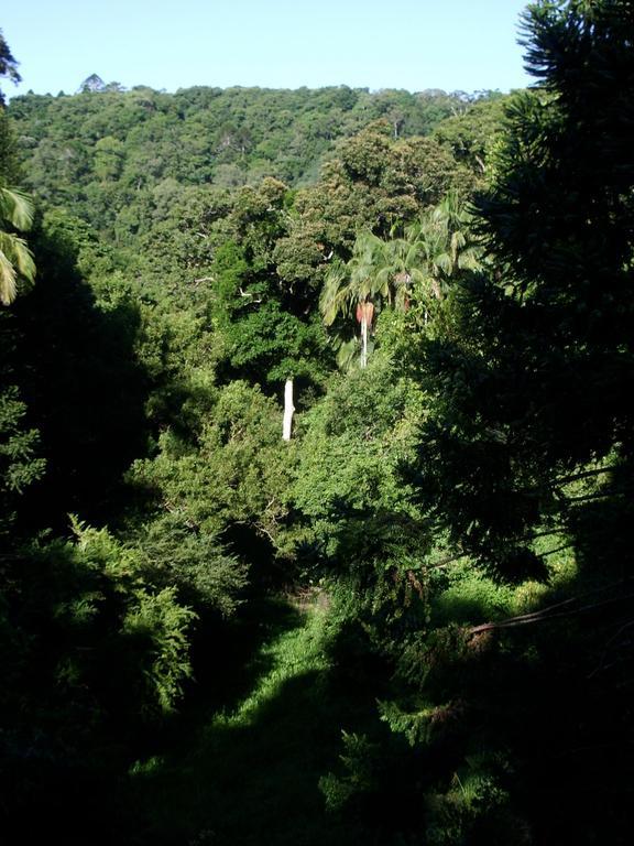Kaalba Otel Maleny Oda fotoğraf